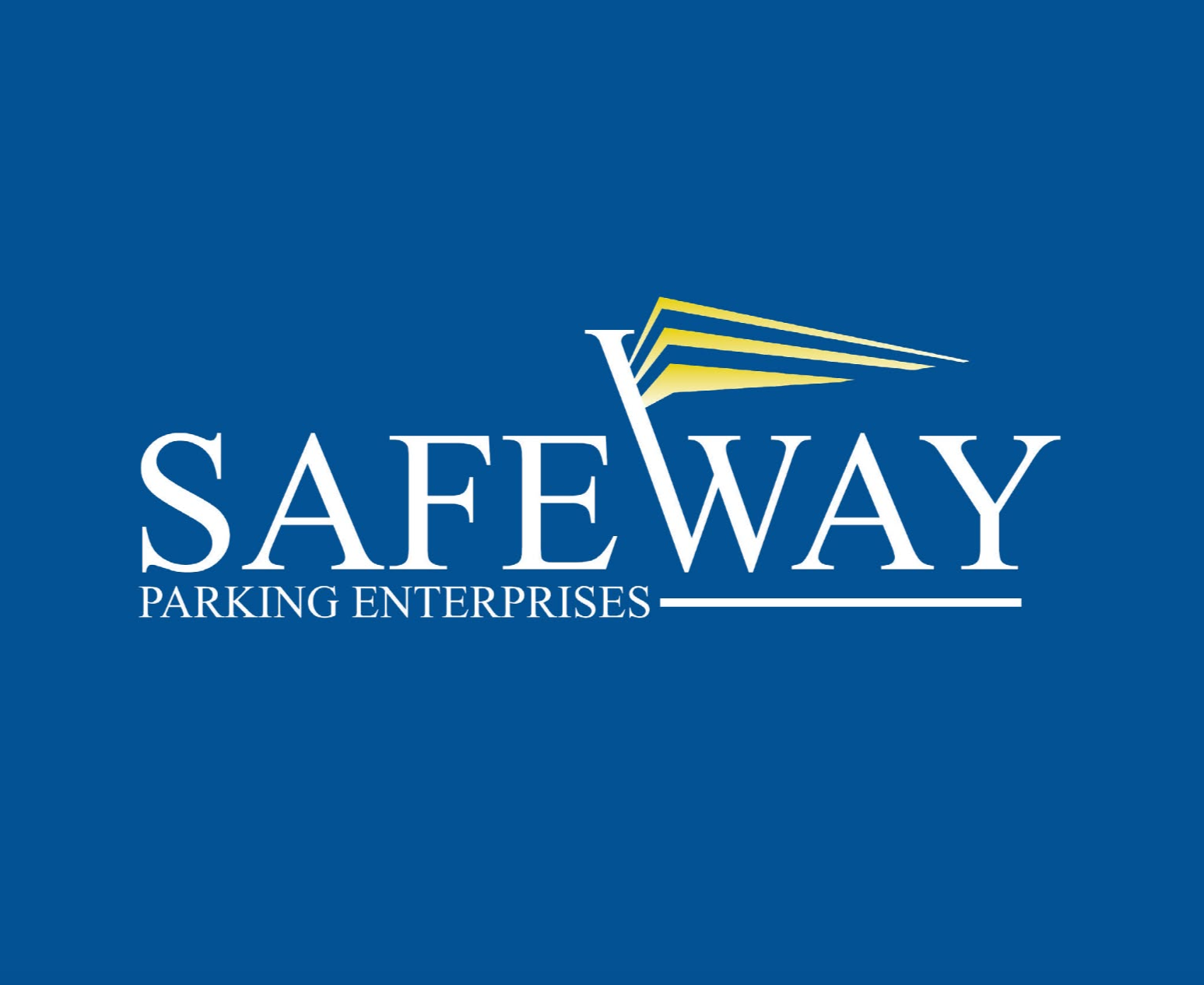 Airport: Tampa International Airport (TPA)  Self-Parking Background