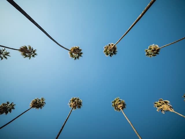 Culver City Los Angeles