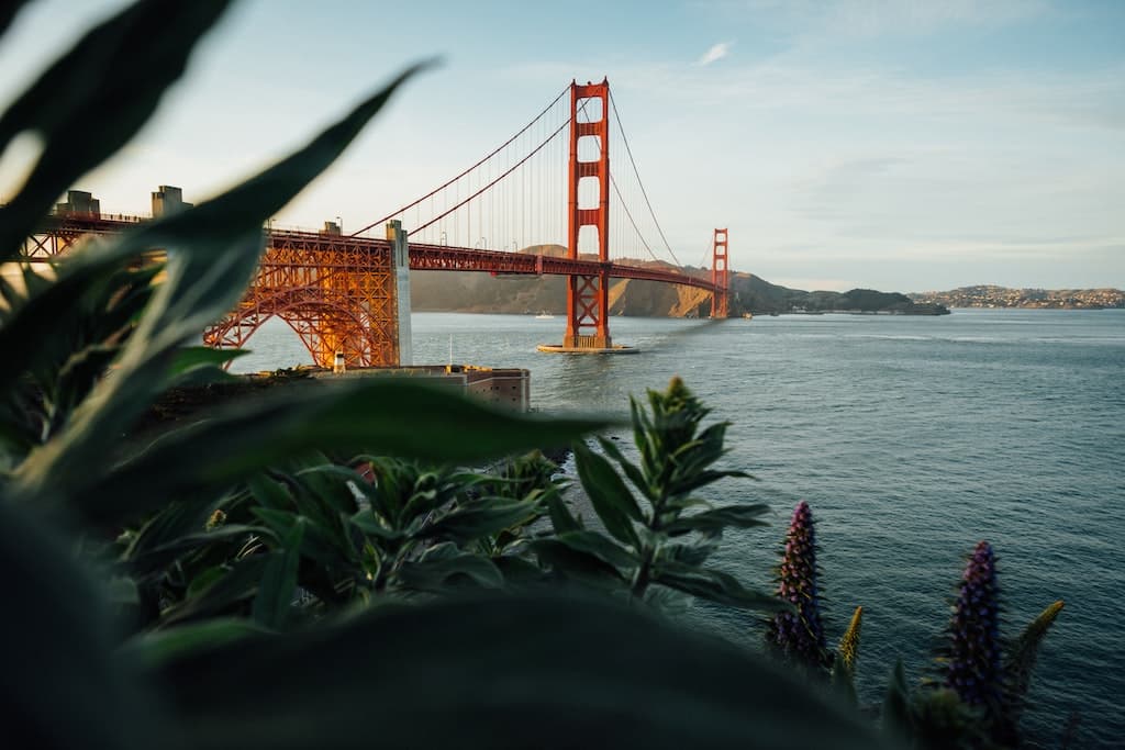 San Francisco Travel Guide