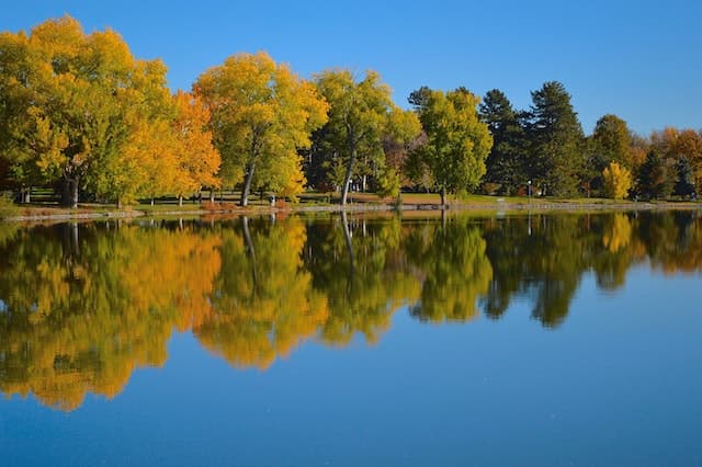 Washington Park Denver