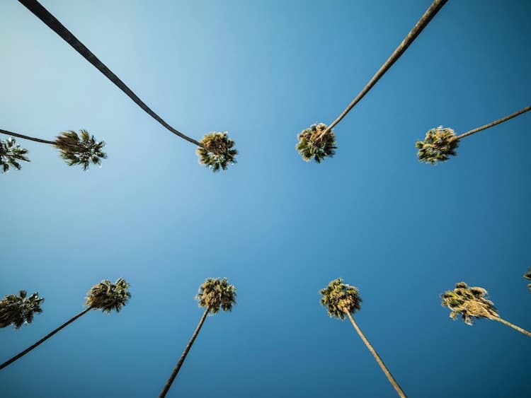 View Sunshine, Smiles, and Santa Ana: Family Fun in California's Hidden Gem