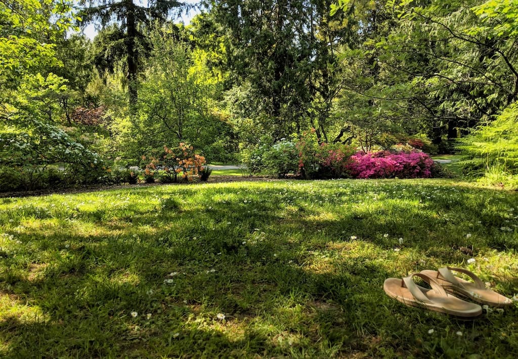 Arboretum Seattle Parking