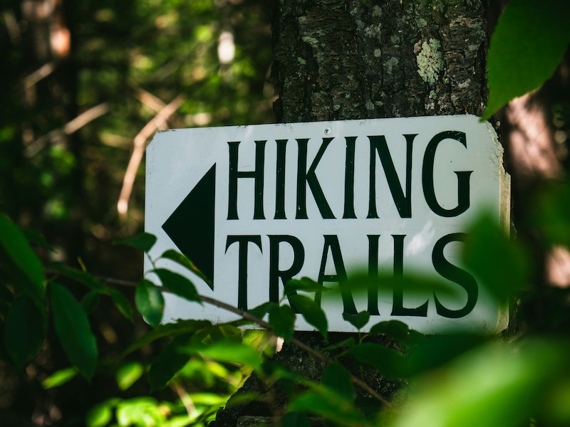 Lace Up Your Boots: Top Hiking Trails Near Bradley International Airport (BDL)